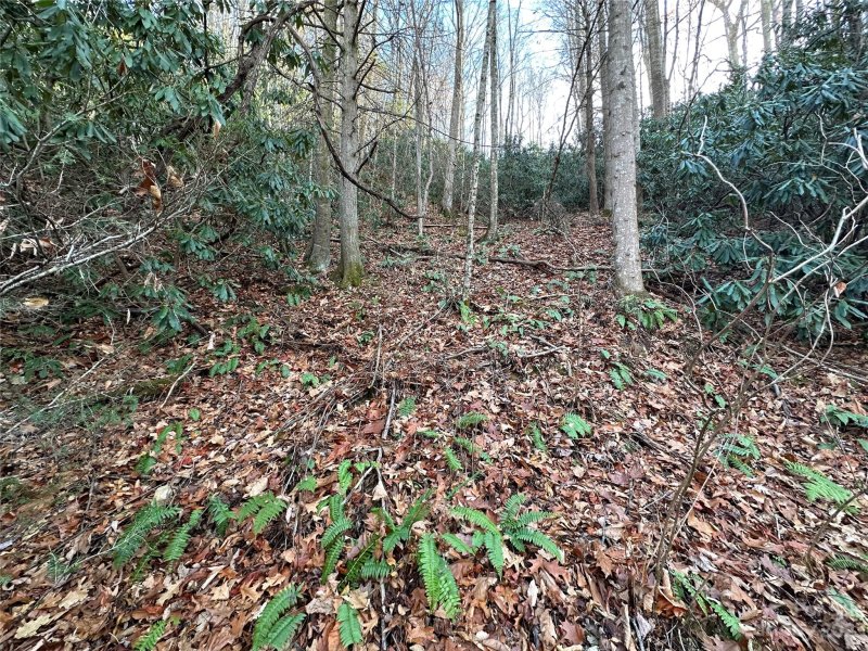 Property image 3 of 00 Rock House Cove Road in Rock House Cove, Clyde, NC 28721
