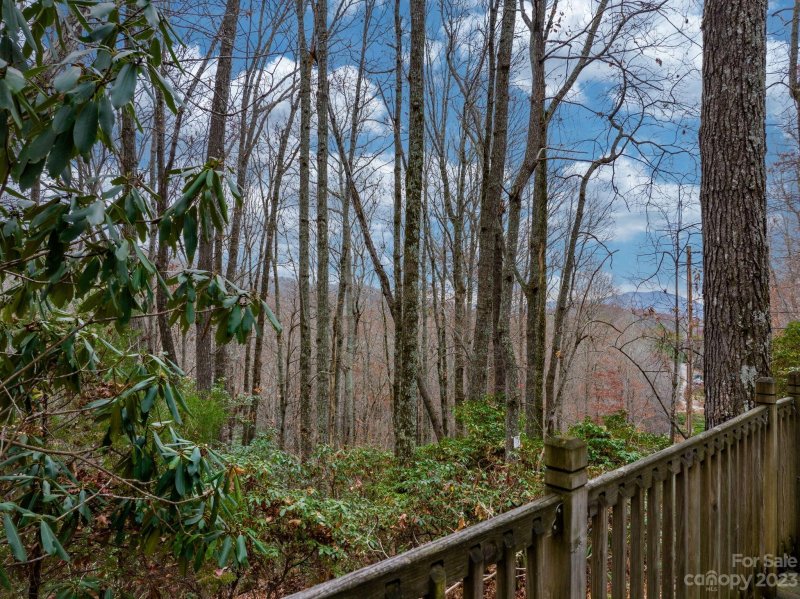 Property image 3 at 46 Overlook Drive, Spruce Pine, NC 28777