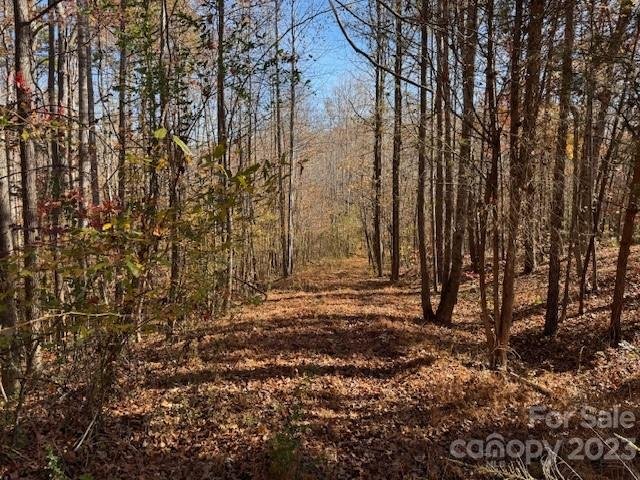 Property image 2 at 491 Patriots Way, Clover, SC 29710