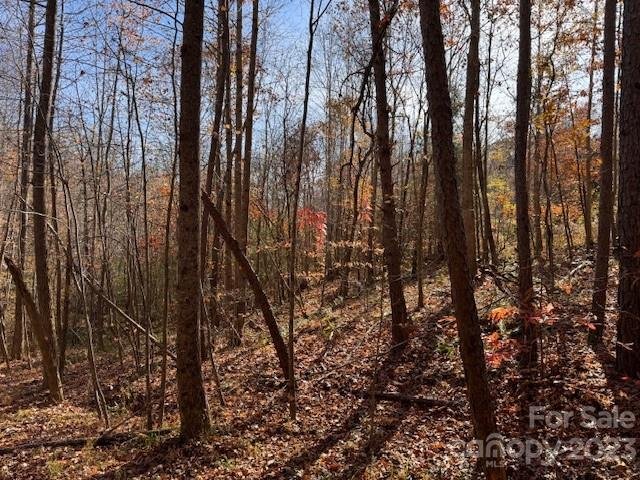 Property image 3 at 491 Patriots Way, Clover, SC 29710