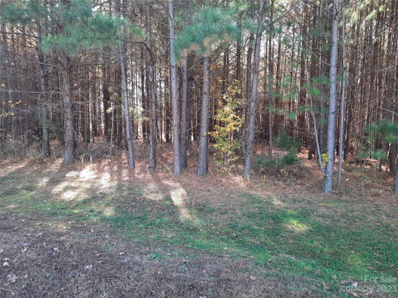 Property image 4 at 0 Tidewater Road, Salisbury, NC 28146