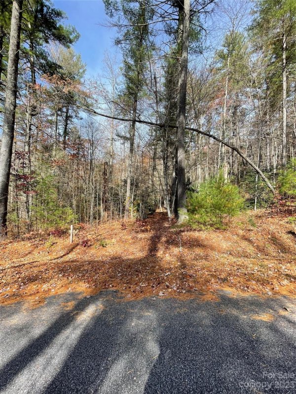 Property image 2 of 0000 Juniper Berry Lane in Pinnacle Falls, Zirconia, NC 28792