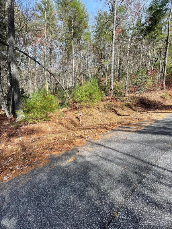 Property image 3 of 0000 Juniper Berry Lane in Pinnacle Falls, Zirconia, NC 28792