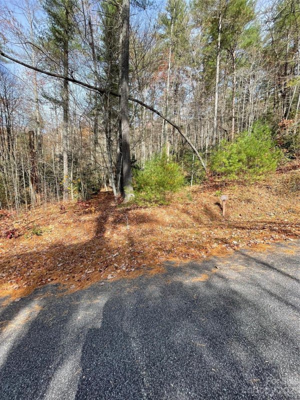Property image 4 of 0000 Juniper Berry Lane in Pinnacle Falls, Zirconia, NC 28792