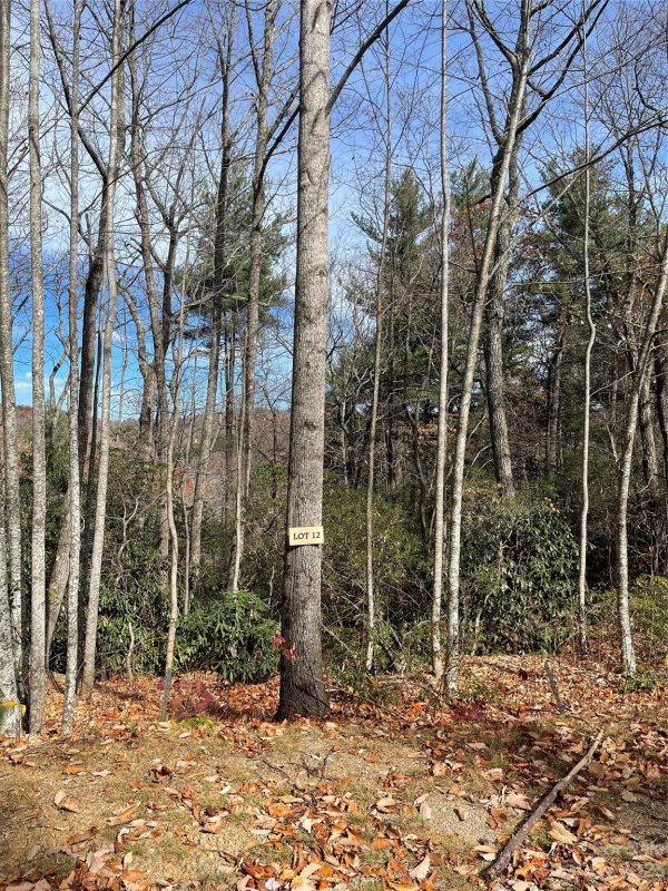 Property image 2 of 000 Eagle Ridge Road in Pinnacle Falls, Zirconia, NC 28790