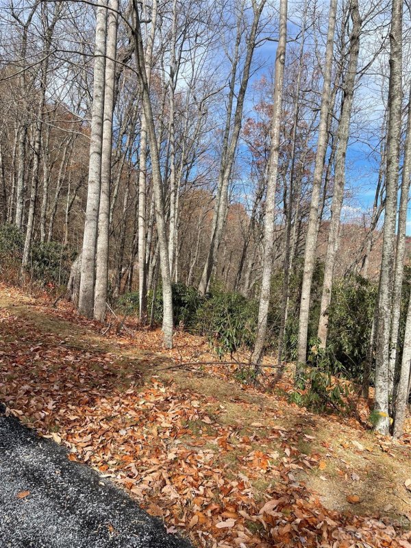 Property image 3 of 000 Eagle Ridge Road in Pinnacle Falls, Zirconia, NC 28790
