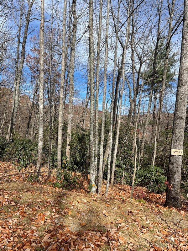 Property image 4 of 000 Eagle Ridge Road in Pinnacle Falls, Zirconia, NC 28790