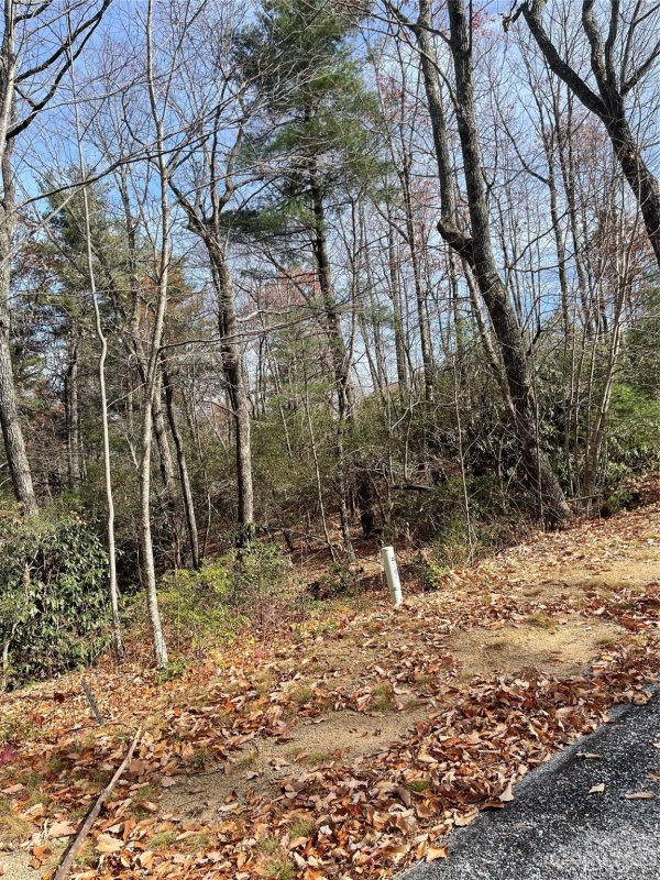 Property image 5 of 000 Eagle Ridge Road in Pinnacle Falls, Zirconia, NC 28790