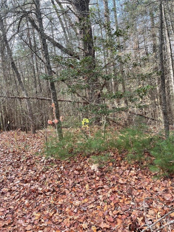Property image 2 of 50 Mountain Escape Drive in Pinnacle Falls, Zirconia, NC 28790