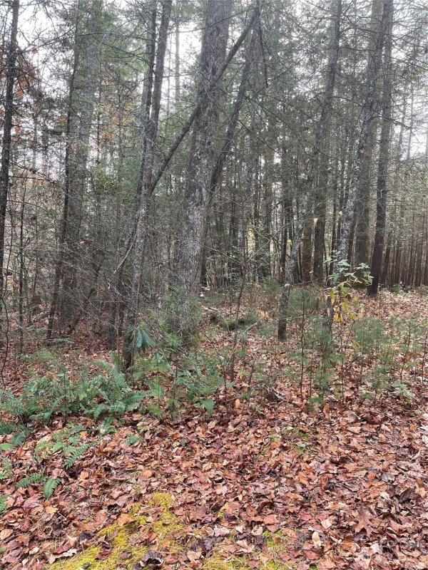 Property image 3 of 50 Mountain Escape Drive in Pinnacle Falls, Zirconia, NC 28790