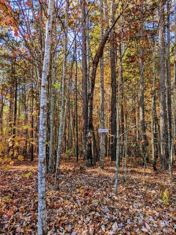 Property image 2 at Lot 28 Hidden Lake Parkway, Nebo, NC 28761