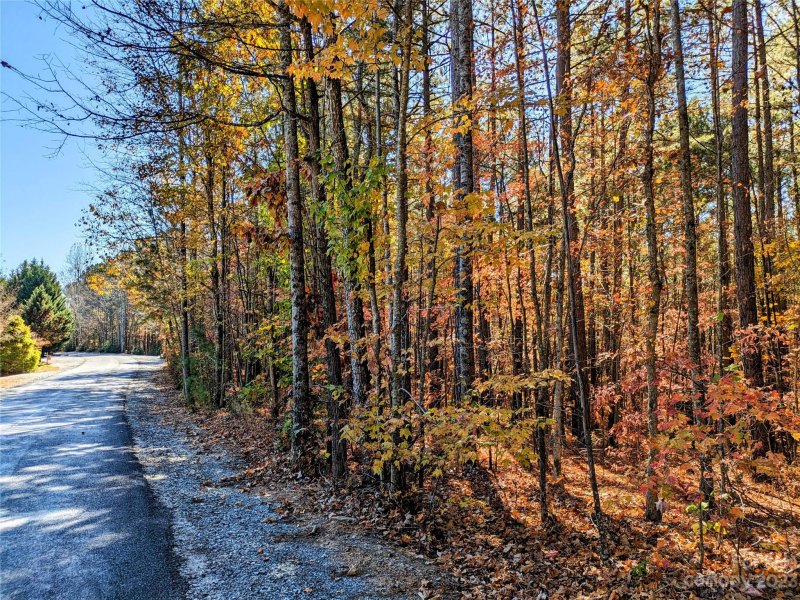 Property image 3 at Lot 28 Hidden Lake Parkway, Nebo, NC 28761