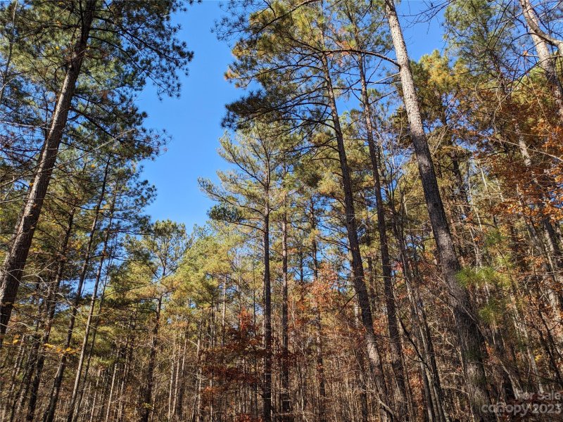 Property image 4 at Lot 28 Hidden Lake Parkway, Nebo, NC 28761