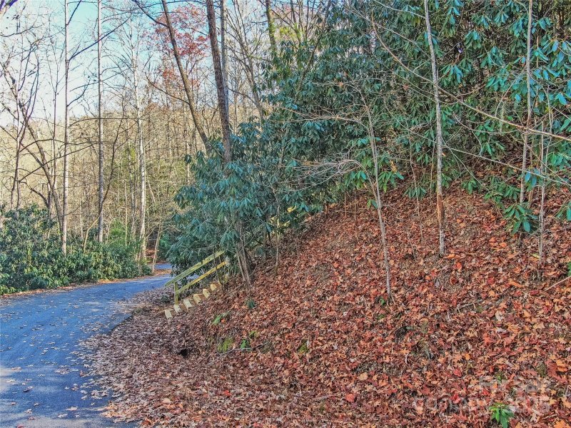 Property image 3 of Tbd Dundee Lane in Glen Cannon, Pisgah Forest, NC 28768