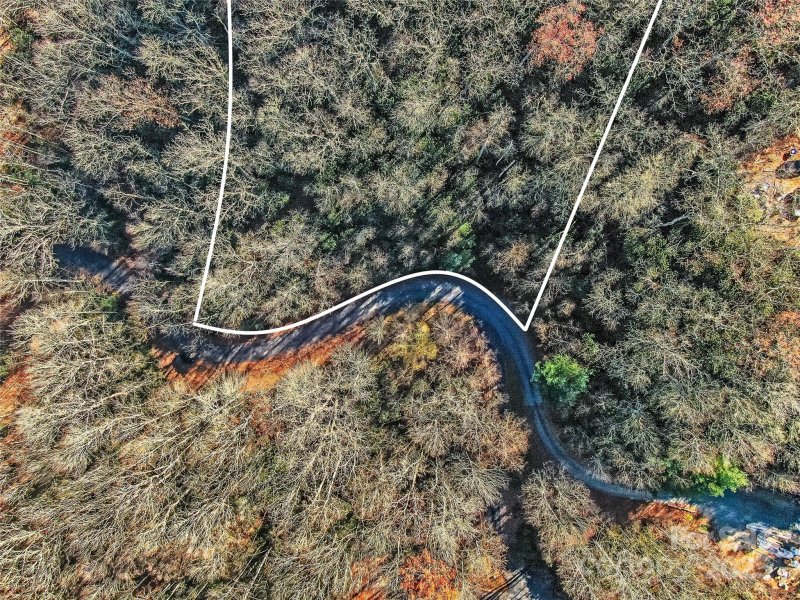 Property image 4 of Tbd Dundee Lane in Glen Cannon, Pisgah Forest, NC 28768