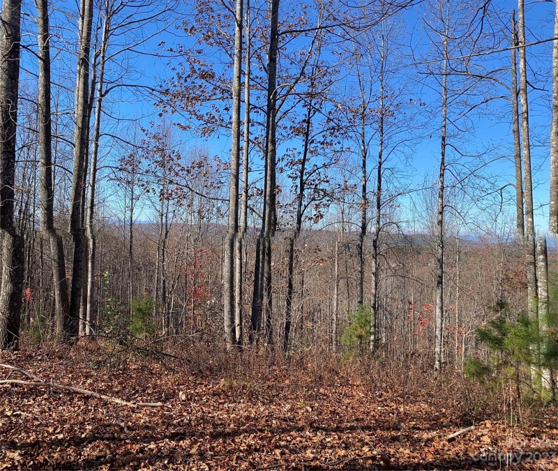 Property image 2 of Tbd Meditation Ridge Drive in Hidden Lake, Nebo, NC 28761