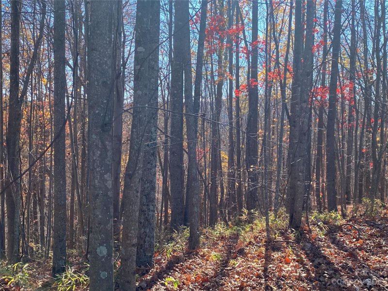 Property image 4 of Tbd Meditation Ridge Drive in Hidden Lake, Nebo, NC 28761