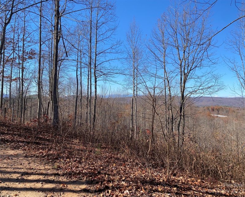 Property image 5 of Tbd Meditation Ridge Drive in Hidden Lake, Nebo, NC 28761