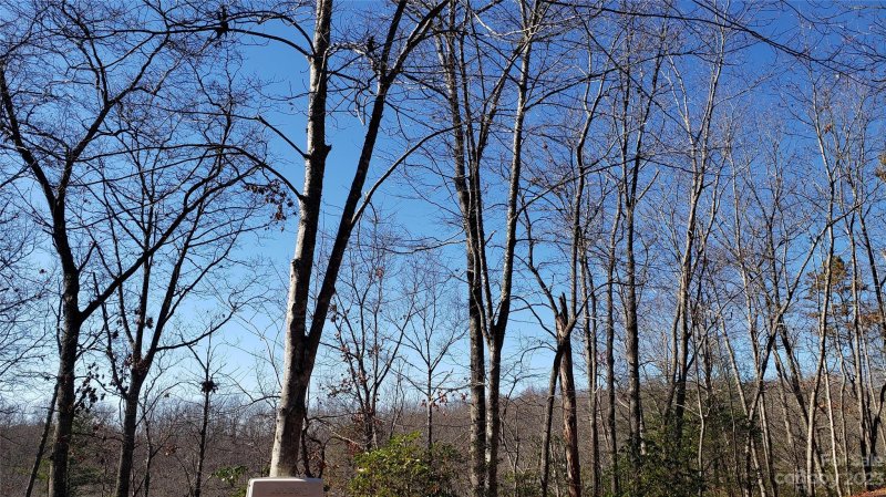 Property image 2 of 9999 Galax Lane in Sequoyah Woods, Brevard, NC 28712