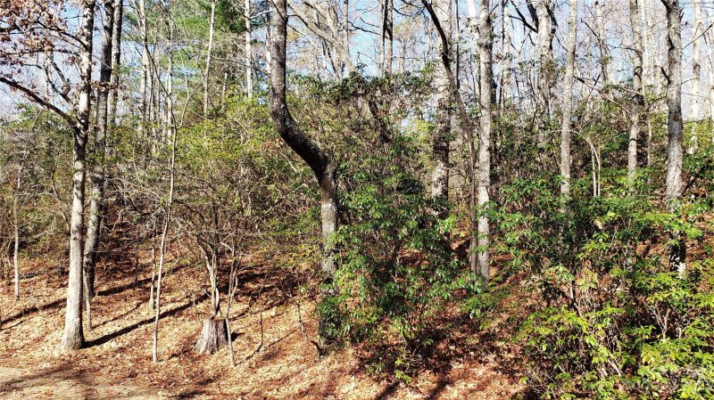 Property image 4 of 9999 Galax Lane in Sequoyah Woods, Brevard, NC 28712