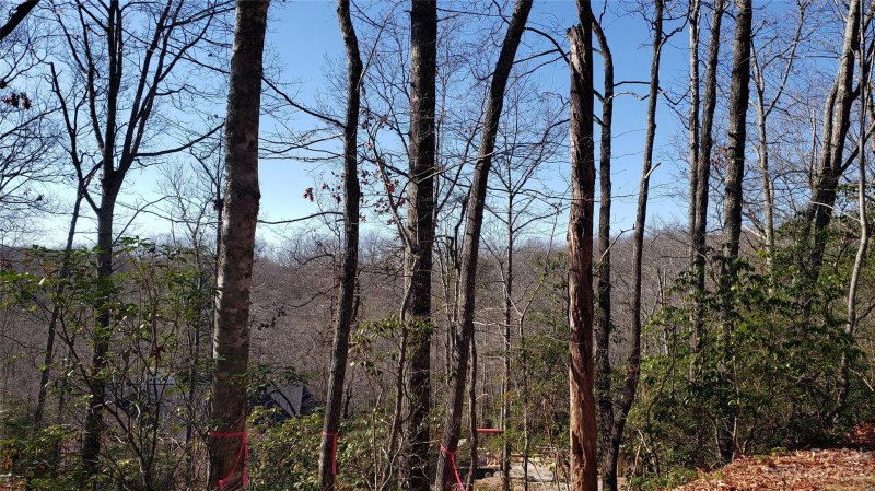 Property image 5 of 9999 Galax Lane in Sequoyah Woods, Brevard, NC 28712