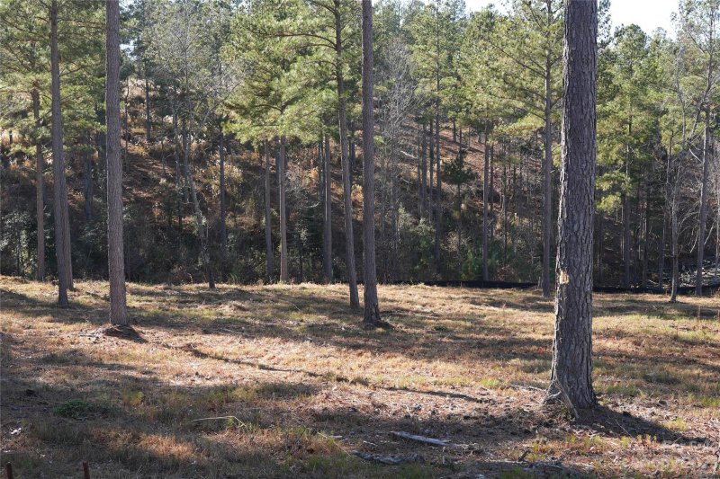 Property image 4 at 3029 Jumping Run, Connelly Springs, NC 28612