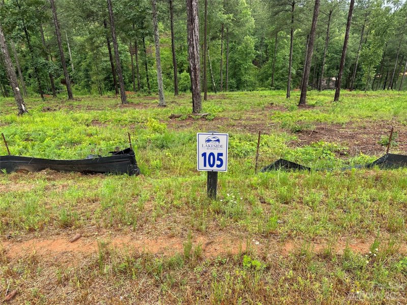 Property image 5 at 3029 Jumping Run, Connelly Springs, NC 28612