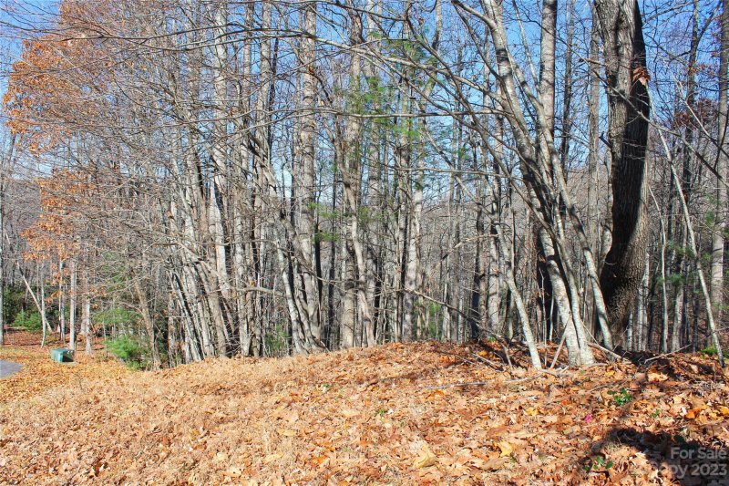 Property image 3 of 74 Poplar Forest Trace in Champion Hills, Hendersonville, NC 28739