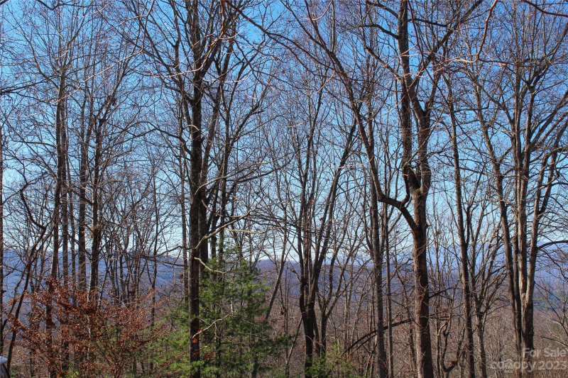 Property image 4 of 74 Poplar Forest Trace in Champion Hills, Hendersonville, NC 28739