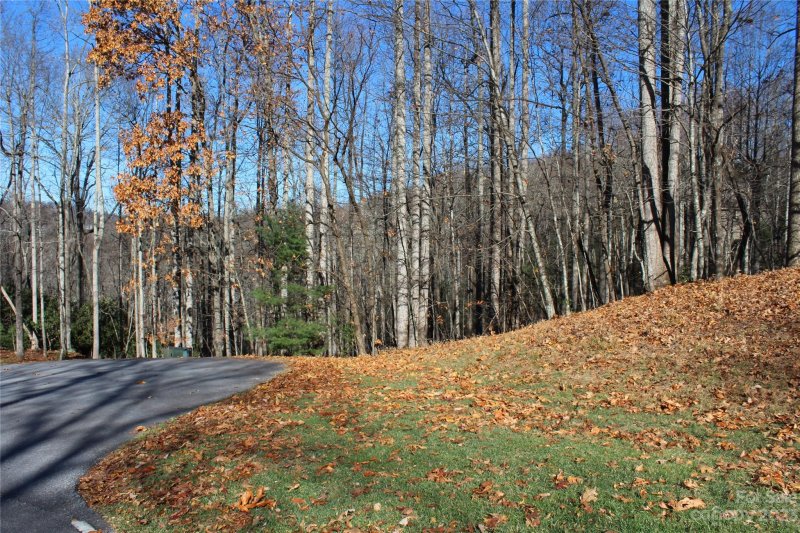 Property image 5 of 74 Poplar Forest Trace in Champion Hills, Hendersonville, NC 28739