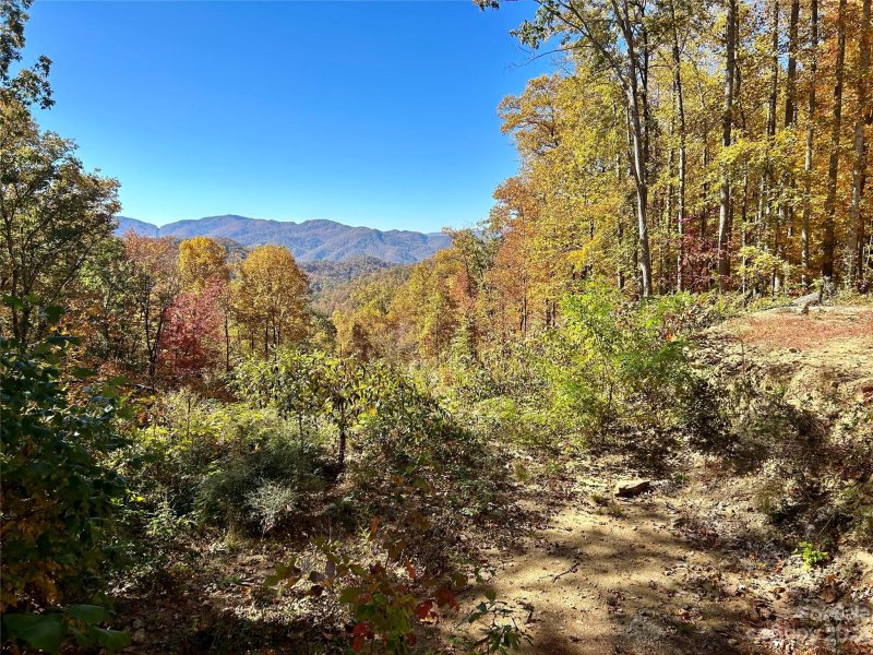 Property image 3 at 272 Shotgun Path, Bryson City, NC 28713