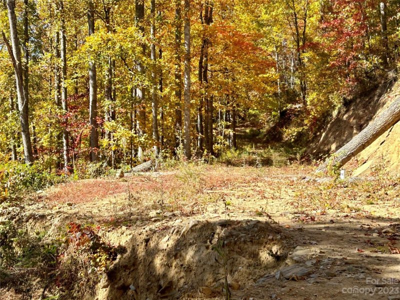 Property image 4 at 272 Shotgun Path, Bryson City, NC 28713