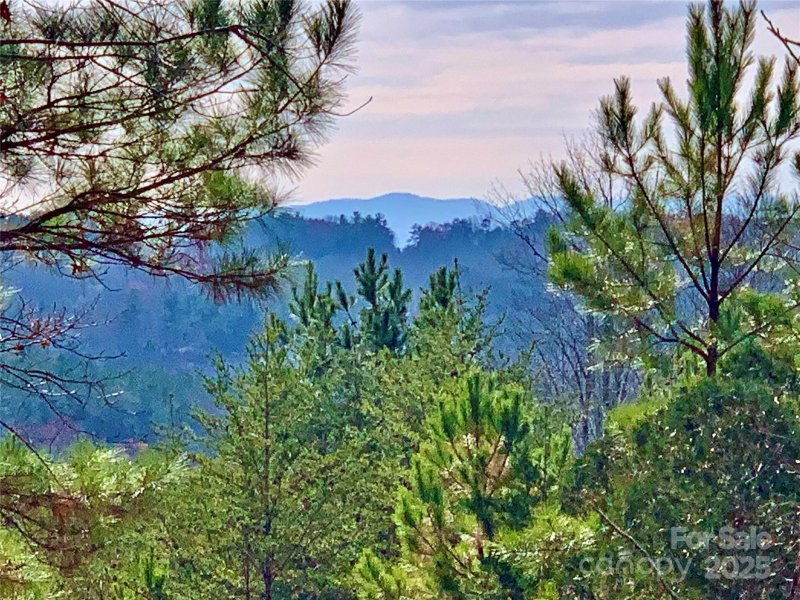 2 53 Acres Lot 602 Low Valley Way