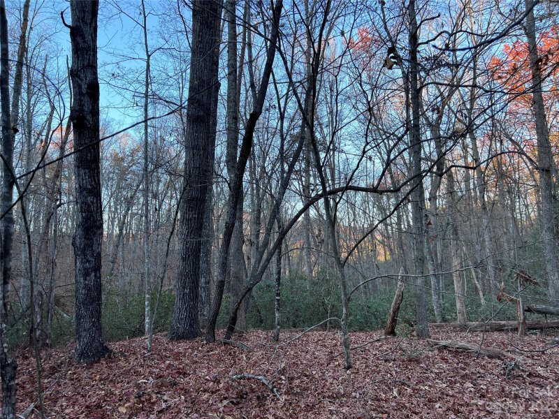 Property image 3 at 0 Rocky Mount Drive, Lake Lure, NC 28746