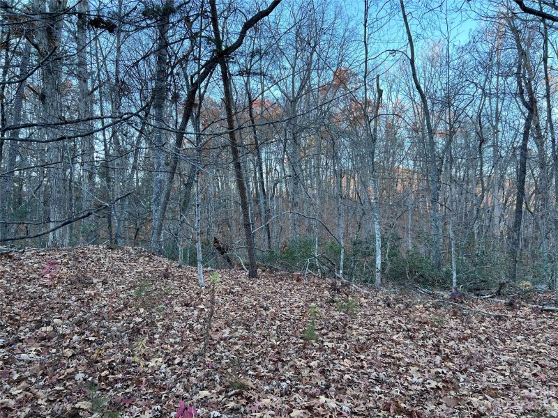 Property image 2 at 0 Rocky Mount Drive, Lake Lure, NC 28746