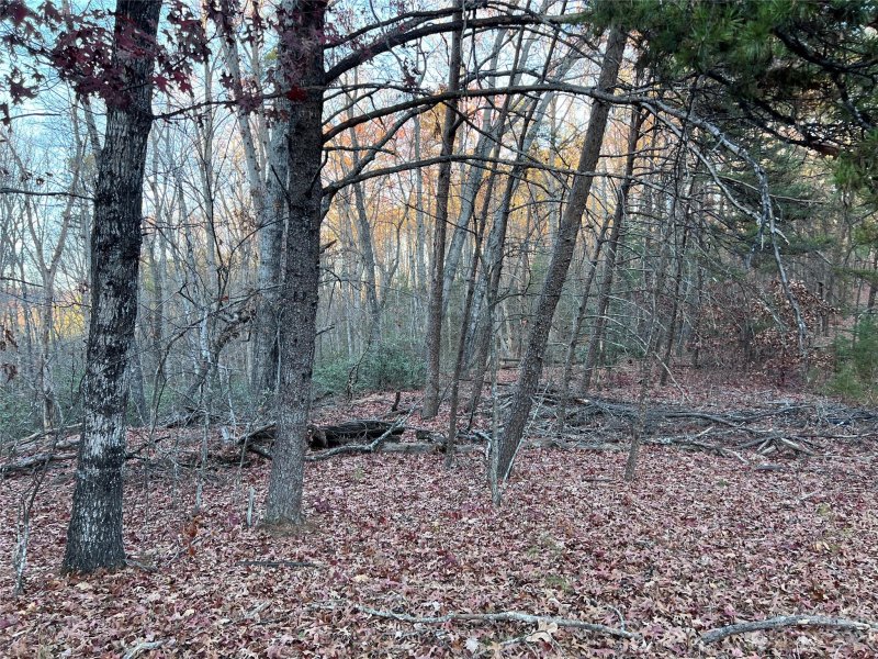 Property image 3 at 0 Rocky Mount Drive, Lake Lure, NC 28746