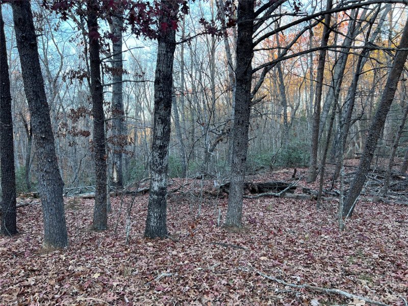 Property image 4 at 0 Rocky Mount Drive, Lake Lure, NC 28746