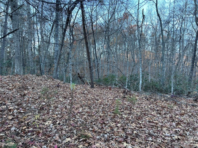 Property image 5 at 0 Rocky Mount Drive, Lake Lure, NC 28746