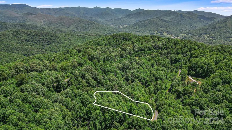 Property image 3 at 135 Locust Grove Lane, Weaverville, NC 28787