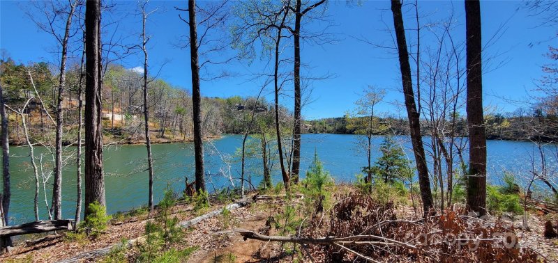 Property image 3 at 14 Jackson Cove Parkway, Mill Spring, NC 28756