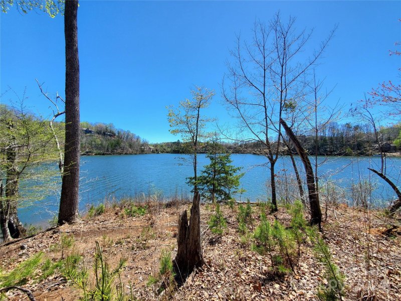 Property image 5 at 14 Jackson Cove Parkway, Mill Spring, NC 28756