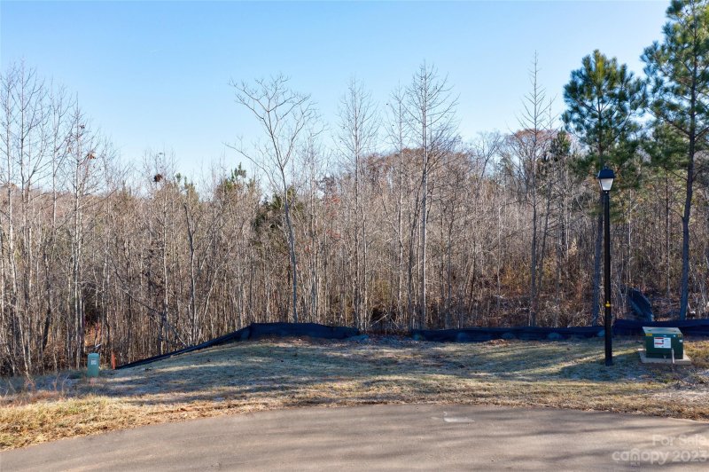 Property image 3 at 141 Addison Emory Lane, Mooresville, NC 28115