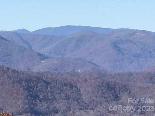 Property image 3 at 1714 Harriets Trail, Waynesville, NC 28786