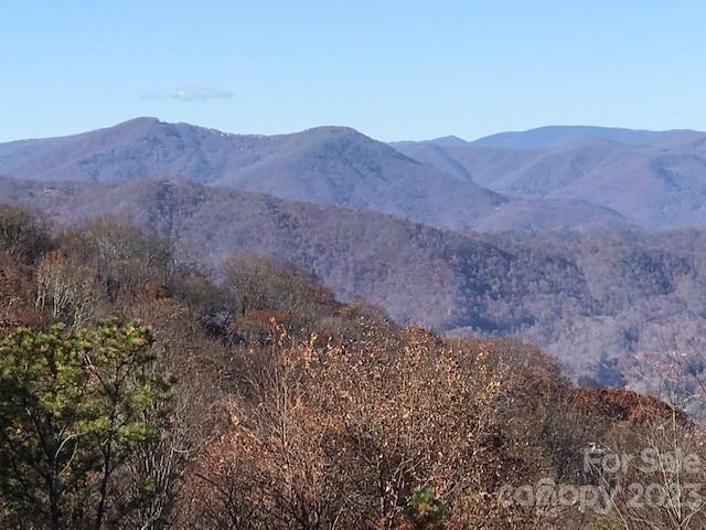 Property image 4 at 1714 Harriets Trail, Waynesville, NC 28786