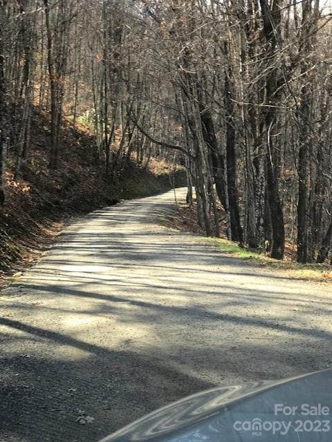 Property image 5 at 1714 Harriets Trail, Waynesville, NC 28786