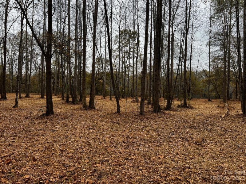 Property image 5 of Lot 155 Lookout Dam Road in River Rock Shores, Statesville, NC 28625