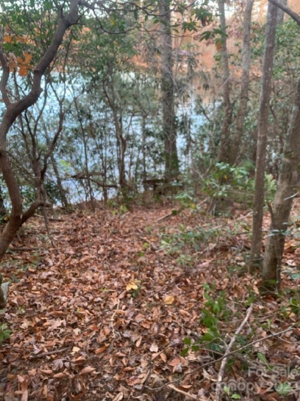 Property image 5 at 100 Rivercliff Drive, Connelly Springs, NC 28612