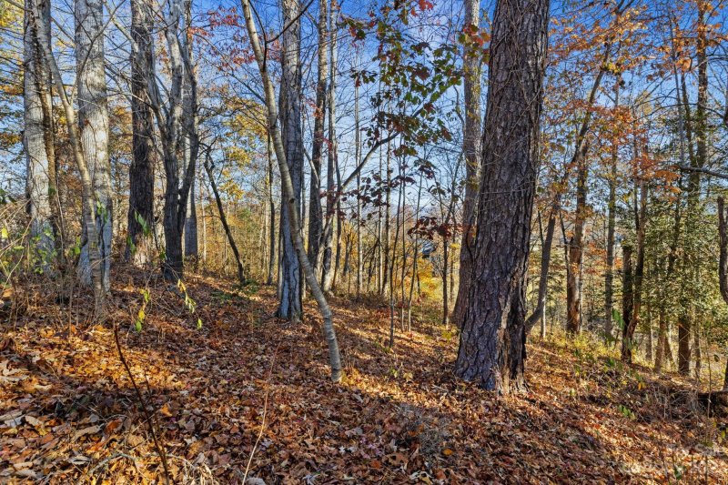 Property image 2 at 65 Bradford Vistas None, Fletcher, NC 28732