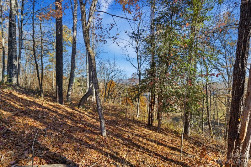 Property image 3 at 65 Bradford Vistas None, Fletcher, NC 28732