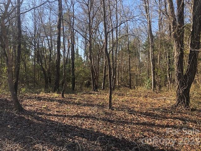 Property image 4 at 0 Harbor View Drive, Cherryville, NC 28021